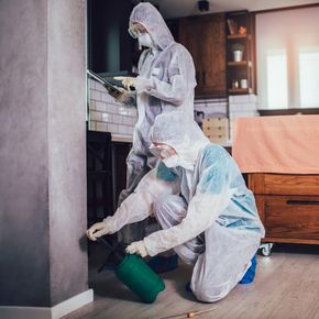 Trusted Pest Control Experts in Navi Mumbai