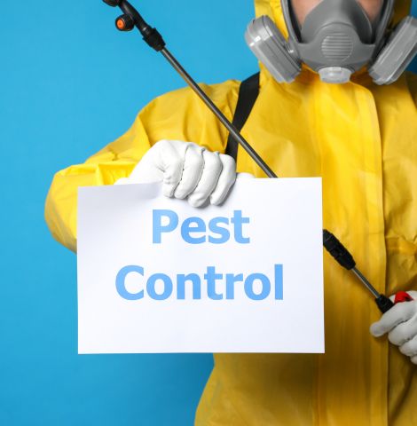 a journey built on trust Alliance pest control