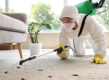 cockroach control in Navi Mumbai