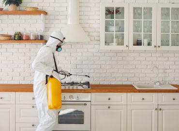 general home pest control in Navi Mumbai