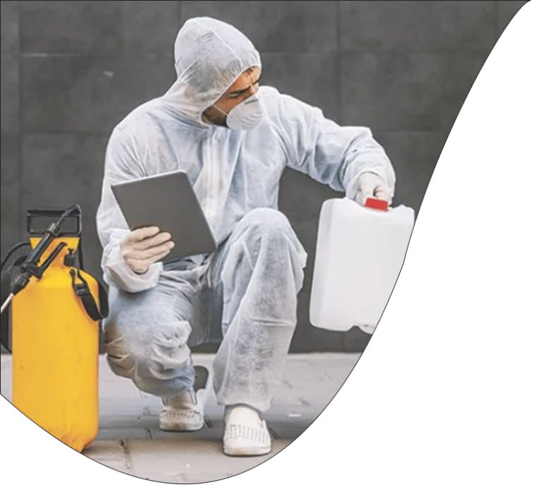 Pest Control in Navi Mumbai