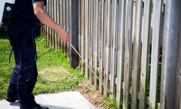 Staircase and Drainage Pest Control Services in Navi Mumbai
