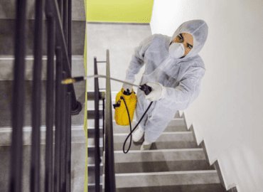 Staircase & Drainage Pest Control